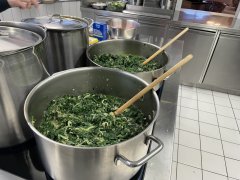 IMG_1922.jpeg